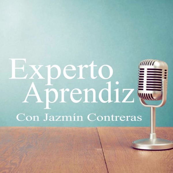 Experto Aprendiz