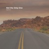 Not the Only One - Single
