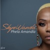 Skye Wanda - Phela Amandla