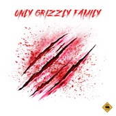 Only Grizzly Family artwork
