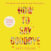 Katy Colins - How to Say Goodbye artwork