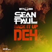 Back It up Deh artwork