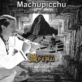 Machupicchu: Light of the Andes artwork