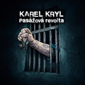 Pasážová Revolta artwork