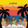 Picture Perfect (feat. Daylin Neohop) - Single album lyrics, reviews, download