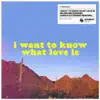 Stream & download I Want To Know What Love Is (BLOND:ISH Sunrise Jungle Extended Rework) - Single