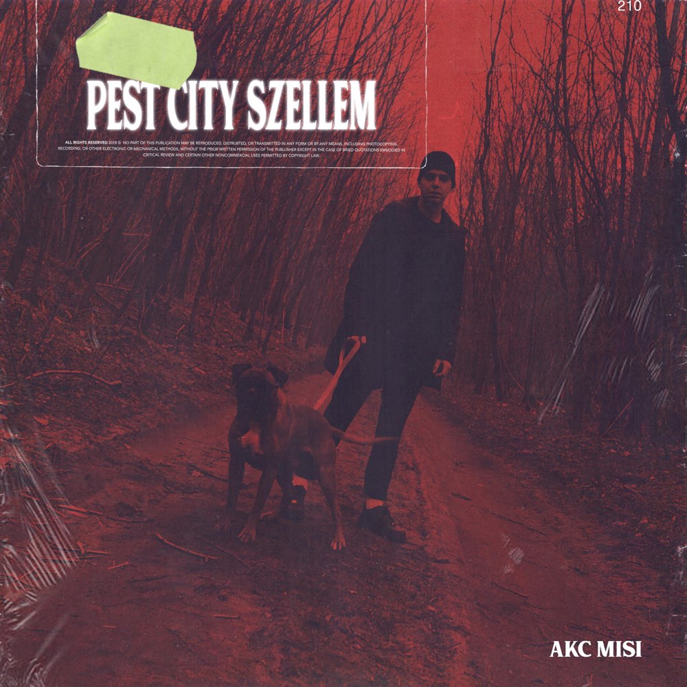 Pest City Szellem by AKC Misi