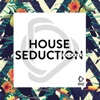 House Seduction, Vol. 20