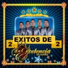 La Excelencia De Oaxaca - Ayer Bajé De La Sierra
