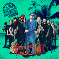 The Dualers - Palm Trees and 80 Degrees artwork