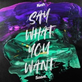 Say What You Want artwork