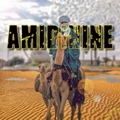 Amidinine Bm pro artwork