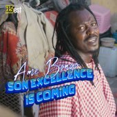 Son Excellence Is Coming - Ame Bongo