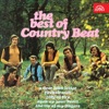 The Best of Country Beat, 2019