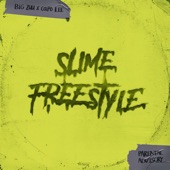 Slime Freestyle artwork