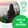 Beauty in the Breakdown Meditation - Single album lyrics, reviews, download