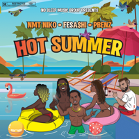 NMT Niko, Fesashi & Pbenz - Hot Summer - Single artwork