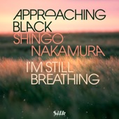 I'm Still Breathing artwork