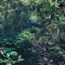 Novicane - aMEba lyrics