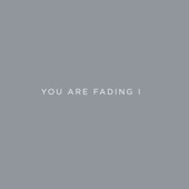 You Are Fading, Vol. 1 (Bonus Tracks 2005 - 2010) artwork