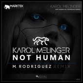 Not Human (M. Rodriguez Remix) artwork