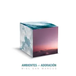 Ambientes de Adoración - Miel San Marcos