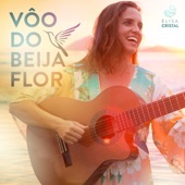 Vôo do Beija Flor artwork