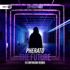 The Future (Ex Infinium Remix) - Single, 2019