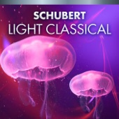 Schubert Light Classical artwork