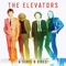Lou the Undertaker - The Elevators lyrics