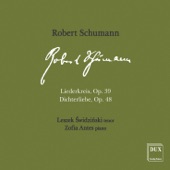 R. Schumann: Liederkreis, Op. 39 & Dichterliebe, Op. 48 artwork