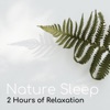 Nature Sleep - 2 Hours of Relaxation