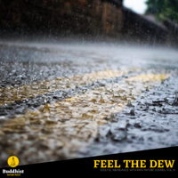 Various Authors - Feel the Dew - Soulful Abundance with Rain Nature Sounds, Vol. 8 artwork