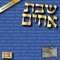 Yerusholayim 2 (feat. Sheves Achim Family) - Avi Fishoff lyrics