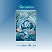 Atomic Skunk - Cetacea