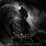 Pain of Salvation - ACCELERATOR