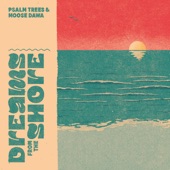 Dreams from the Shore artwork