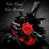 Not Dead Not Broken (feat. Niclas Markström & Chris Goldsmith) - Single