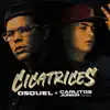 Stream & download Cicatrices - Single