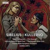 Kullervo, Op. 7: IV. Kullervo Goes to War artwork
