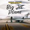 Big Jet Plane (feat. Alis Shuka) - Single