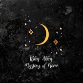 Mystery of Never artwork