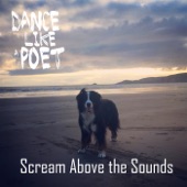 Scream Above the Sounds artwork