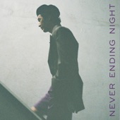 Never Ending Night - EP artwork