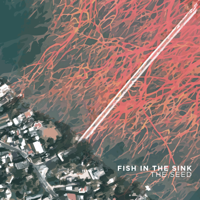 Fish in the Sink - The Seed - Single artwork