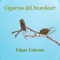 Dúo de Cigarras - Edgar Galeano lyrics