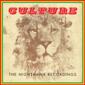 The Nighthawk Recordings artwork