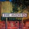 The Avenues - Love Trapezium lyrics
