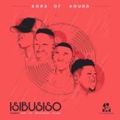 Isibusiso (feat. Dafro, Tete, Limpopo Rhythm & Vida Soul) artwork