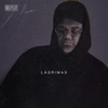 Lágrimas by G Sony iTunes Track 1